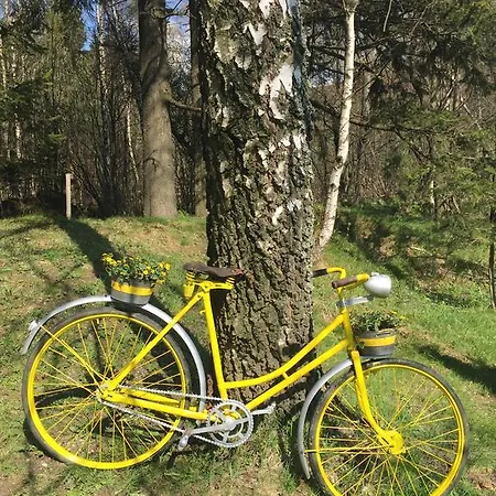 Neubauer Ostruzna