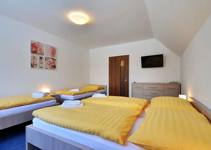 Neubauer 3* Ostružná